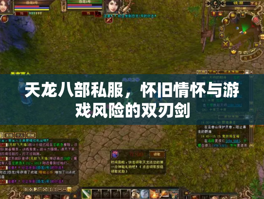 天龙八部私服，怀旧情怀与游戏风险的双刃剑