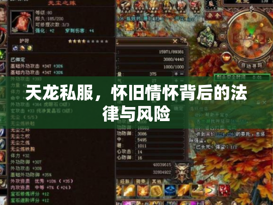 天龙私服，怀旧情怀背后的法律与风险