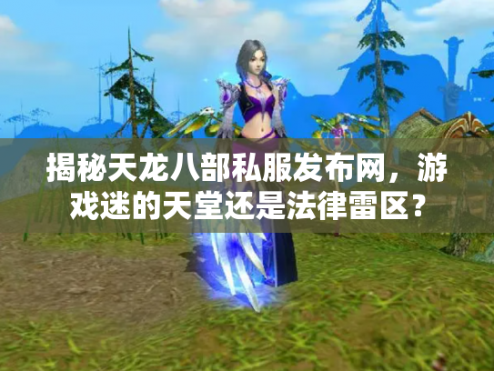 揭秘天龙八部私服发布网，游戏迷的天堂还是法律雷区？