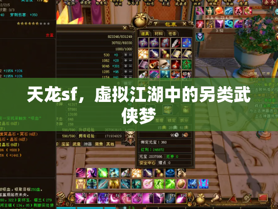 天龙sf，虚拟江湖中的另类武侠梦
