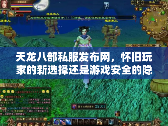 天龙八部私服发布网，怀旧玩家的新选择还是游戏安全的隐患？