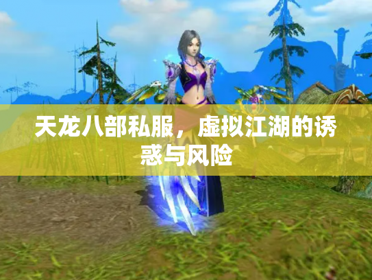 天龙八部私服，虚拟江湖的诱惑与风险