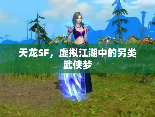 天龙SF，虚拟江湖中的另类武侠梦