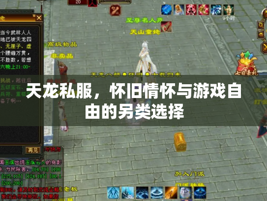 天龙私服，怀旧情怀与游戏自由的另类选择