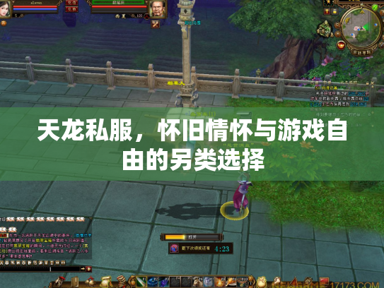天龙私服，怀旧情怀与游戏自由的另类选择