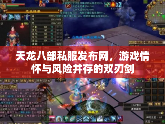 天龙八部私服发布网，游戏情怀与风险并存的双刃剑