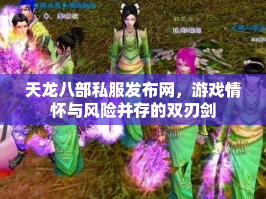 天龙八部私服发布网，游戏情怀与风险并存的双刃剑