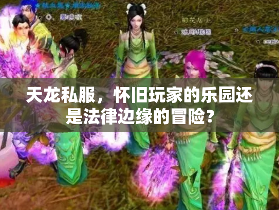 天龙私服，怀旧玩家的乐园还是法律边缘的冒险？