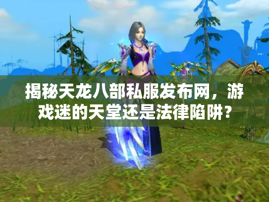 揭秘天龙八部私服发布网，游戏迷的天堂还是法律陷阱？