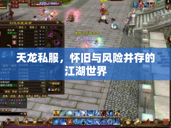 天龙私服，怀旧与风险并存的江湖世界