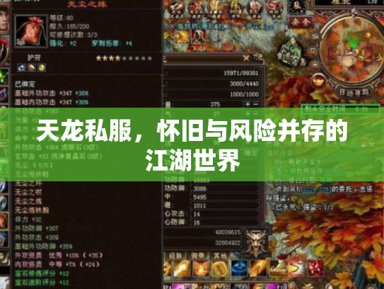 天龙私服，怀旧与风险并存的江湖世界
