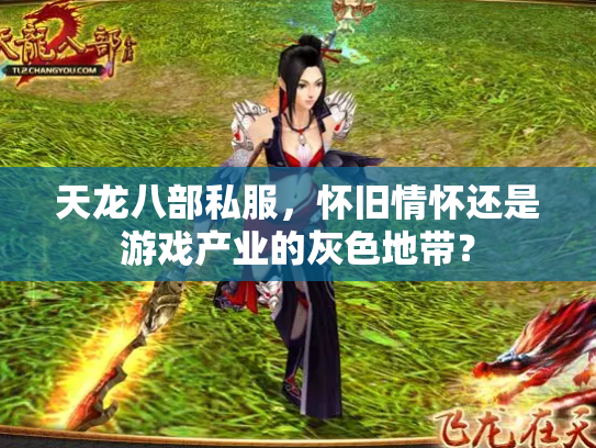 天龙八部私服，怀旧情怀还是游戏产业的灰色地带？
