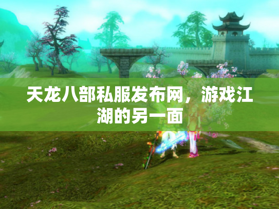 天龙八部私服发布网，游戏江湖的另一面