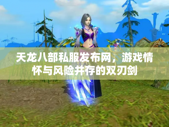 天龙八部私服发布网，游戏情怀与风险并存的双刃剑