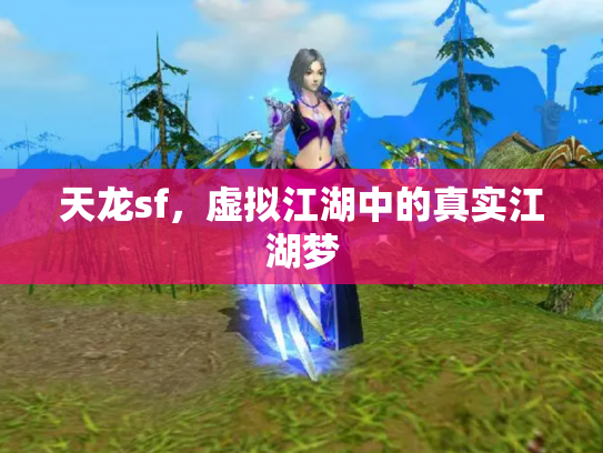 天龙sf，虚拟江湖中的真实江湖梦