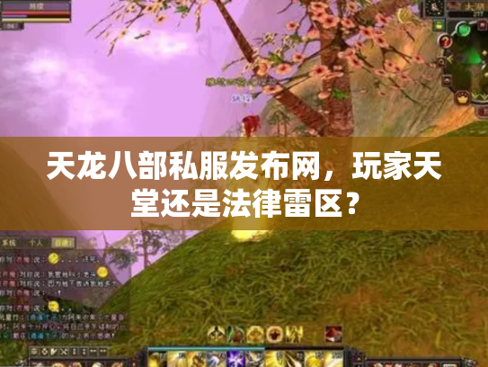 天龙八部私服发布网，玩家天堂还是法律雷区？
