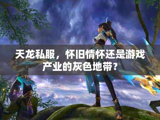 天龙私服，怀旧情怀还是游戏产业的灰色地带？