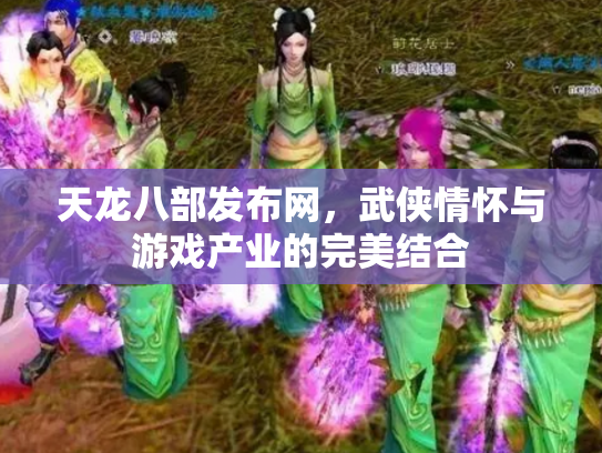 天龙八部发布网，武侠情怀与游戏产业的完美结合