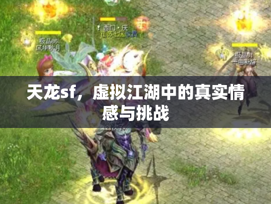 天龙sf，虚拟江湖中的真实情感与挑战