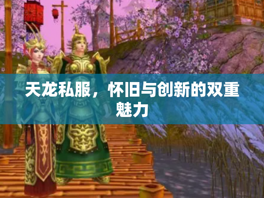 天龙私服，怀旧与创新的双重魅力