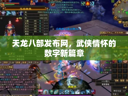 天龙八部发布网，武侠情怀的数字新篇章