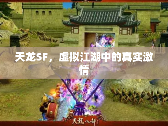 天龙SF，虚拟江湖中的真实激情