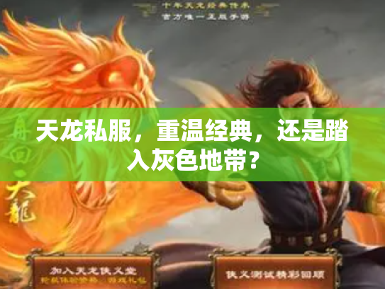 天龙私服，重温经典，还是踏入灰色地带？