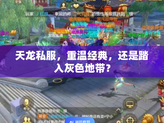 天龙私服，重温经典，还是踏入灰色地带？