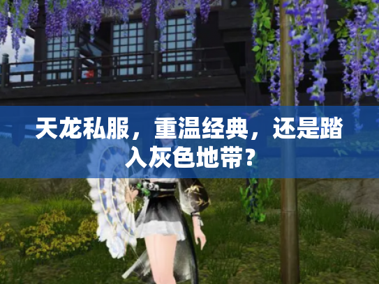 天龙私服，重温经典，还是踏入灰色地带？