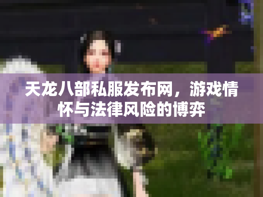 天龙八部私服发布网，游戏情怀与法律风险的博弈