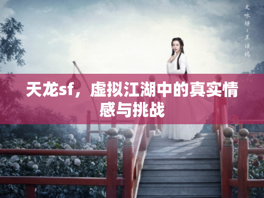 天龙sf，虚拟江湖中的真实情感与挑战