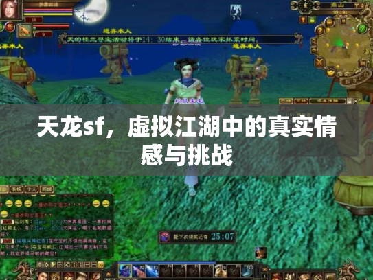 天龙sf，虚拟江湖中的真实情感与挑战