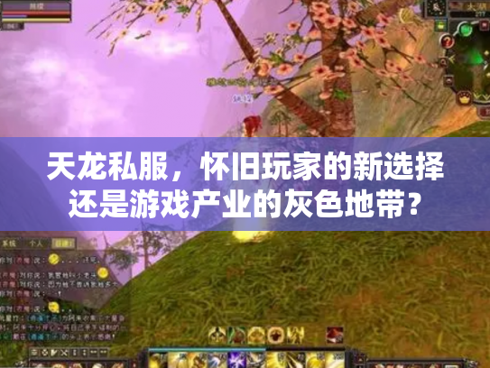 天龙私服，怀旧玩家的新选择还是游戏产业的灰色地带？