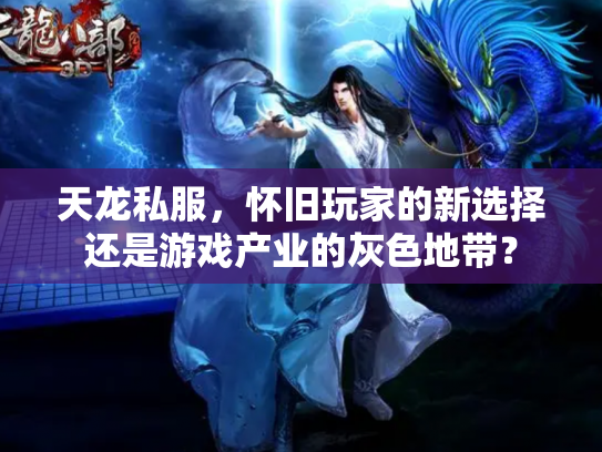 天龙私服，怀旧玩家的新选择还是游戏产业的灰色地带？