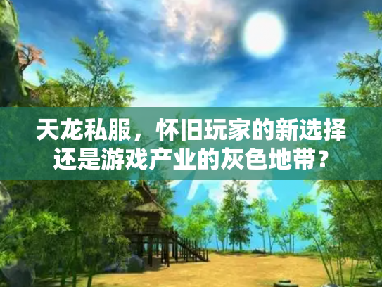 天龙私服，怀旧玩家的新选择还是游戏产业的灰色地带？