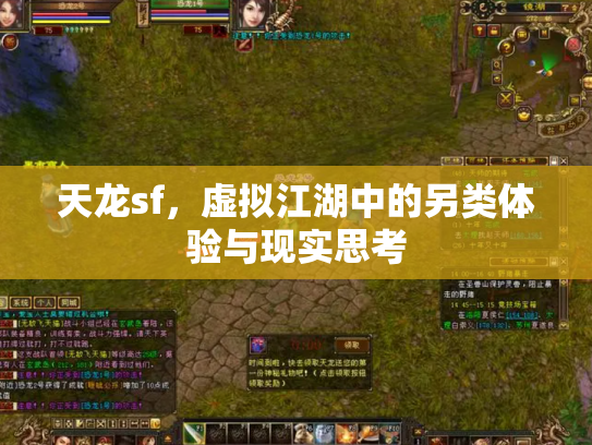 天龙sf，虚拟江湖中的另类体验与现实思考