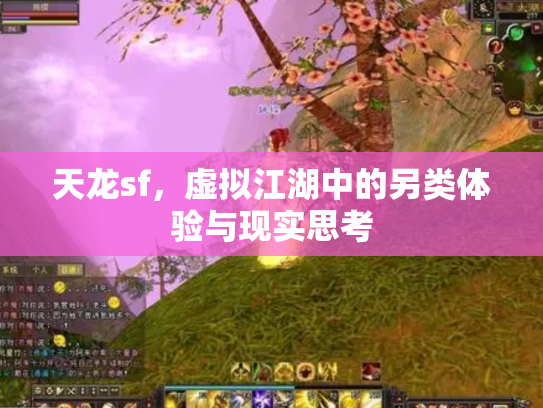 天龙sf，虚拟江湖中的另类体验与现实思考