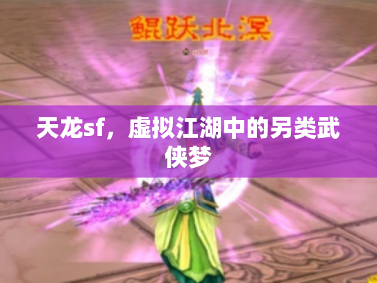 天龙sf，虚拟江湖中的另类武侠梦