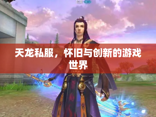 天龙私服，怀旧与创新的游戏世界