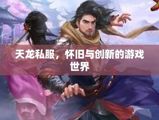天龙私服，怀旧与创新的游戏世界