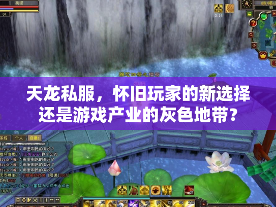 天龙私服，怀旧玩家的新选择还是游戏产业的灰色地带？