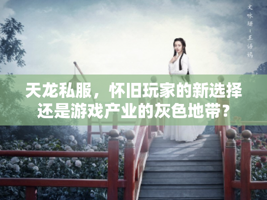 天龙私服，怀旧玩家的新选择还是游戏产业的灰色地带？