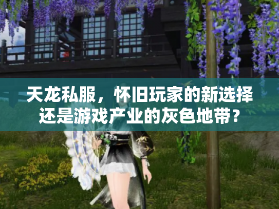 天龙私服，怀旧玩家的新选择还是游戏产业的灰色地带？