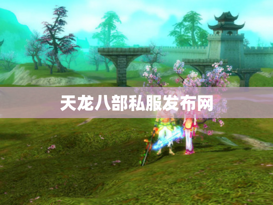 天龙八部私服发布网
