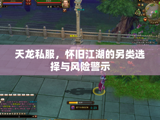 天龙私服，怀旧江湖的另类选择与风险警示