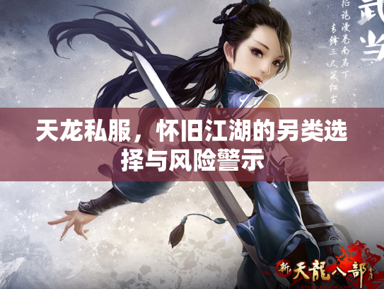 天龙私服，怀旧江湖的另类选择与风险警示