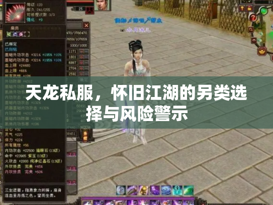 天龙私服，怀旧江湖的另类选择与风险警示