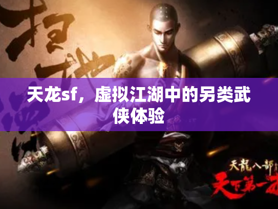 天龙sf，虚拟江湖中的另类武侠体验