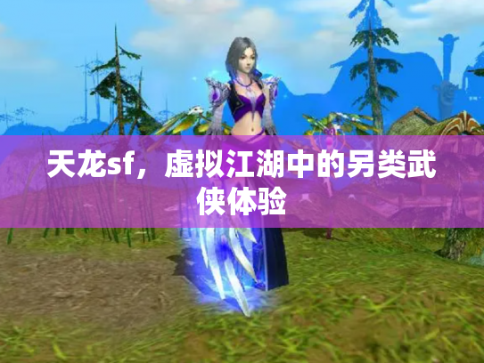 天龙sf，虚拟江湖中的另类武侠体验
