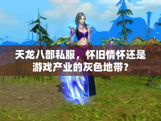 天龙八部私服，怀旧情怀还是游戏产业的灰色地带？
